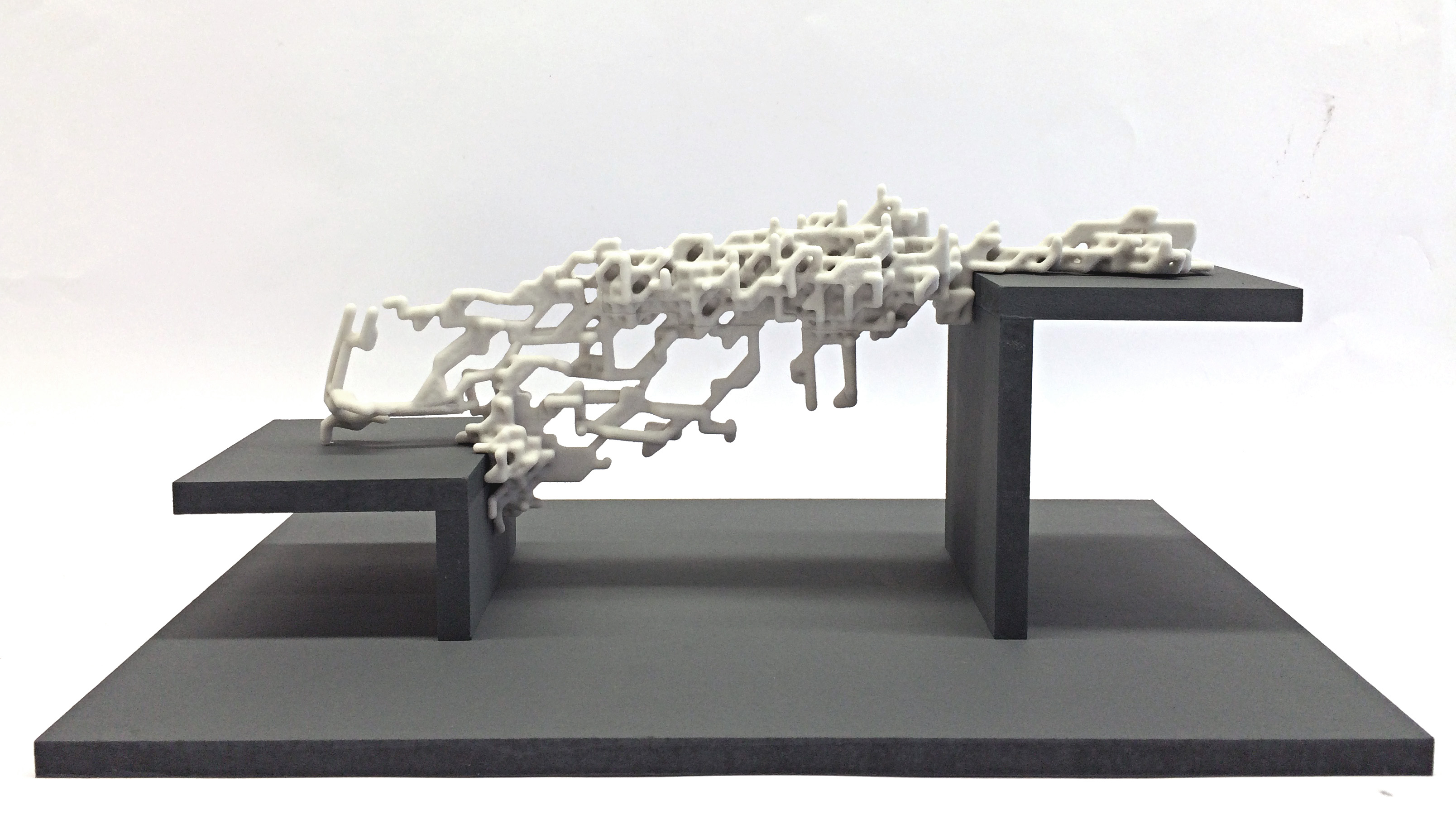 3D Printed Model